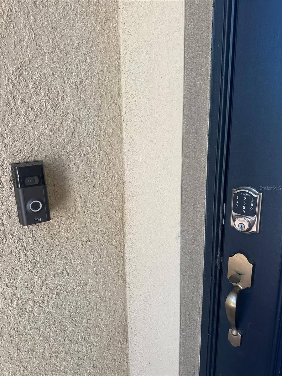 13422 SAW PALM CREEK TRL