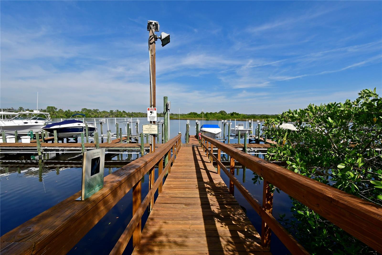 604 MISTY POND CT