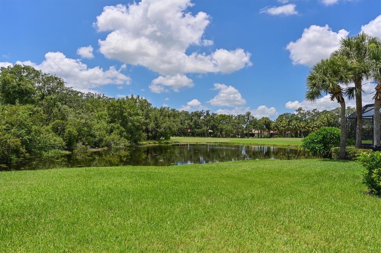604 MISTY POND CT
