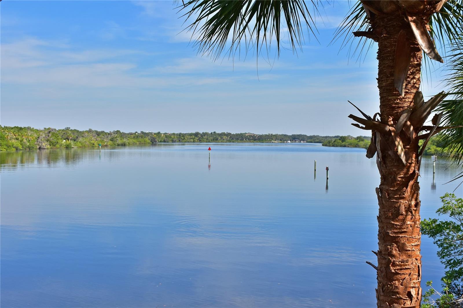 604 MISTY POND CT