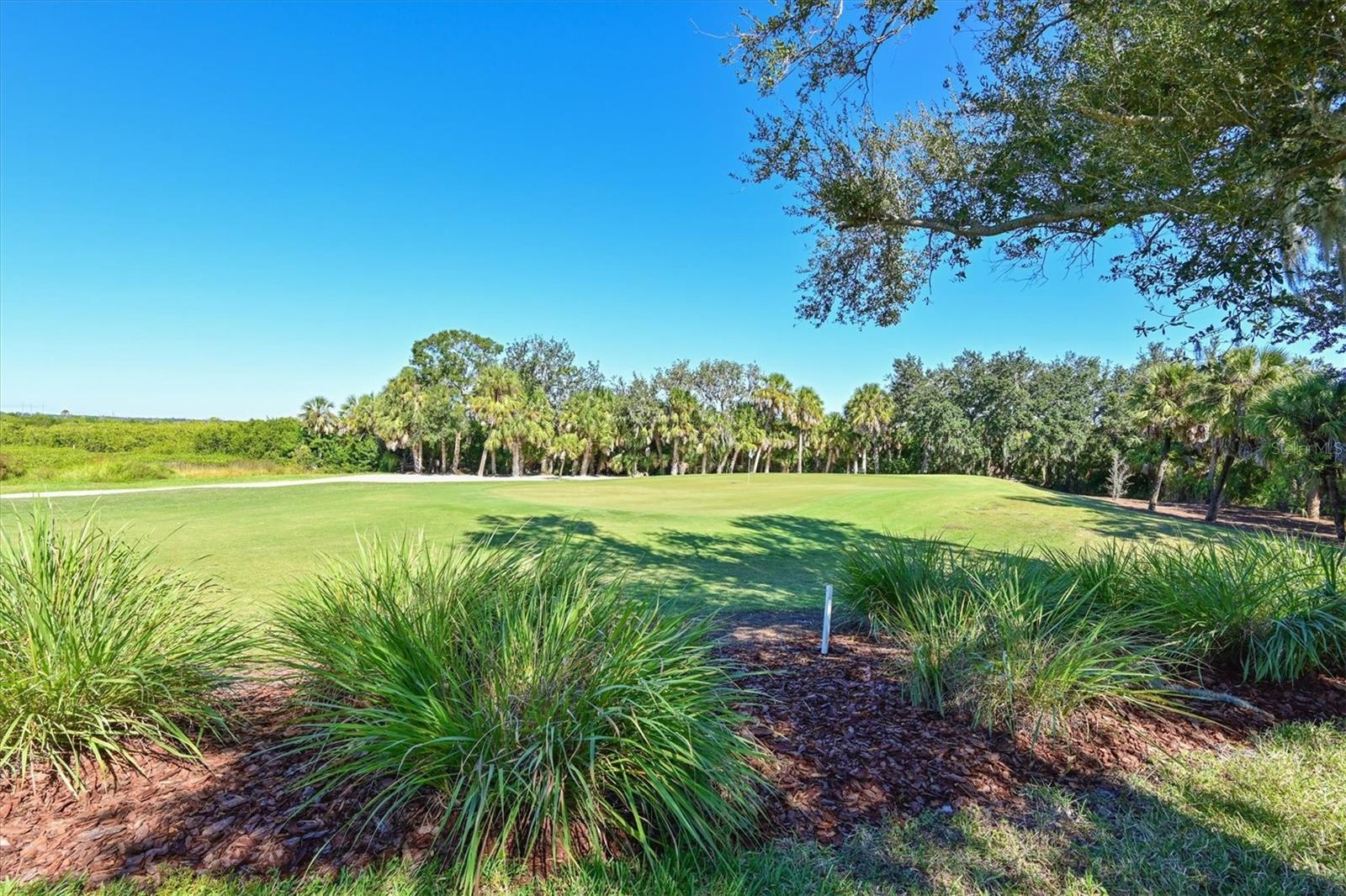 9711 SEA TURTLE TER #102