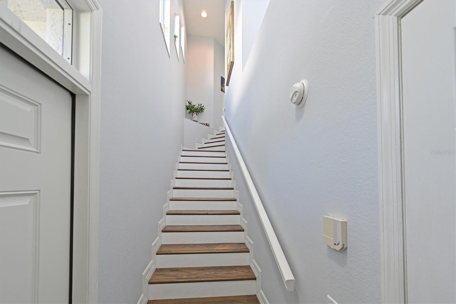 9712 SEA TURTLE TER #201