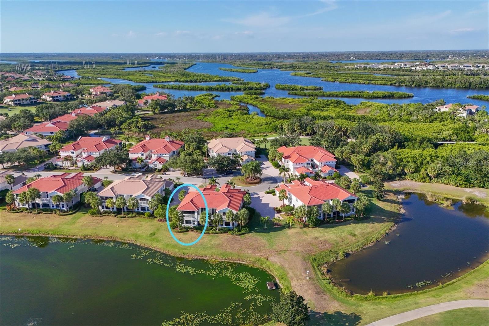 9712 SEA TURTLE TER #201