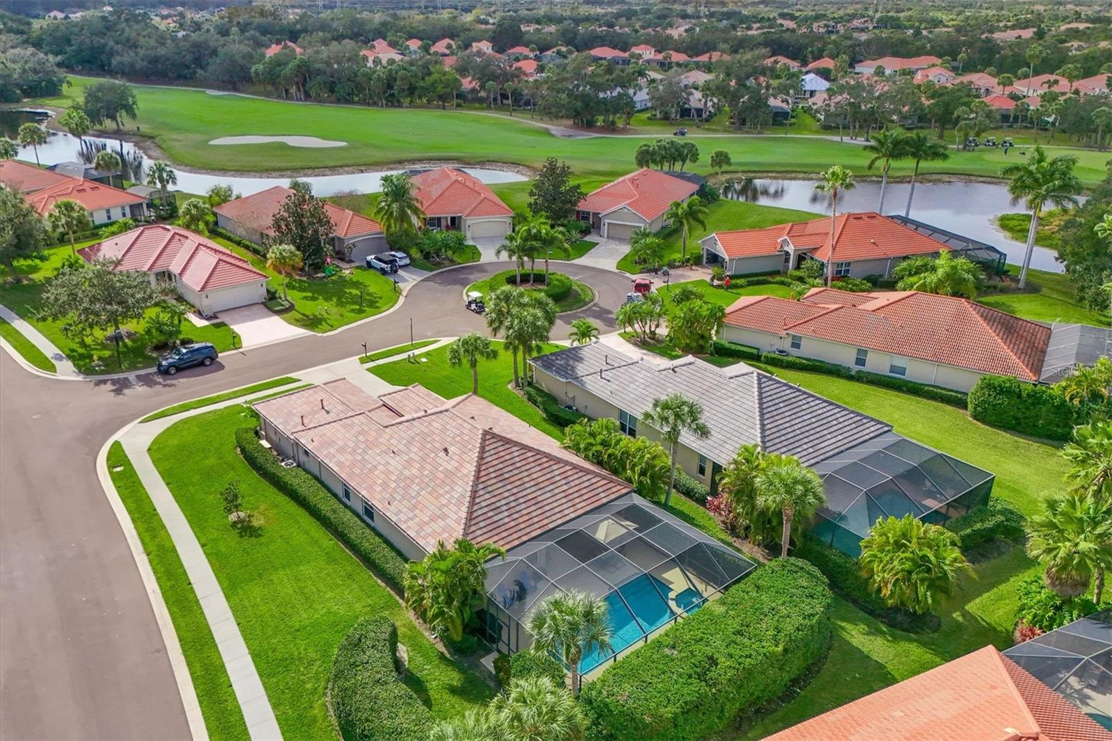 9617 TURNING LEAF TER