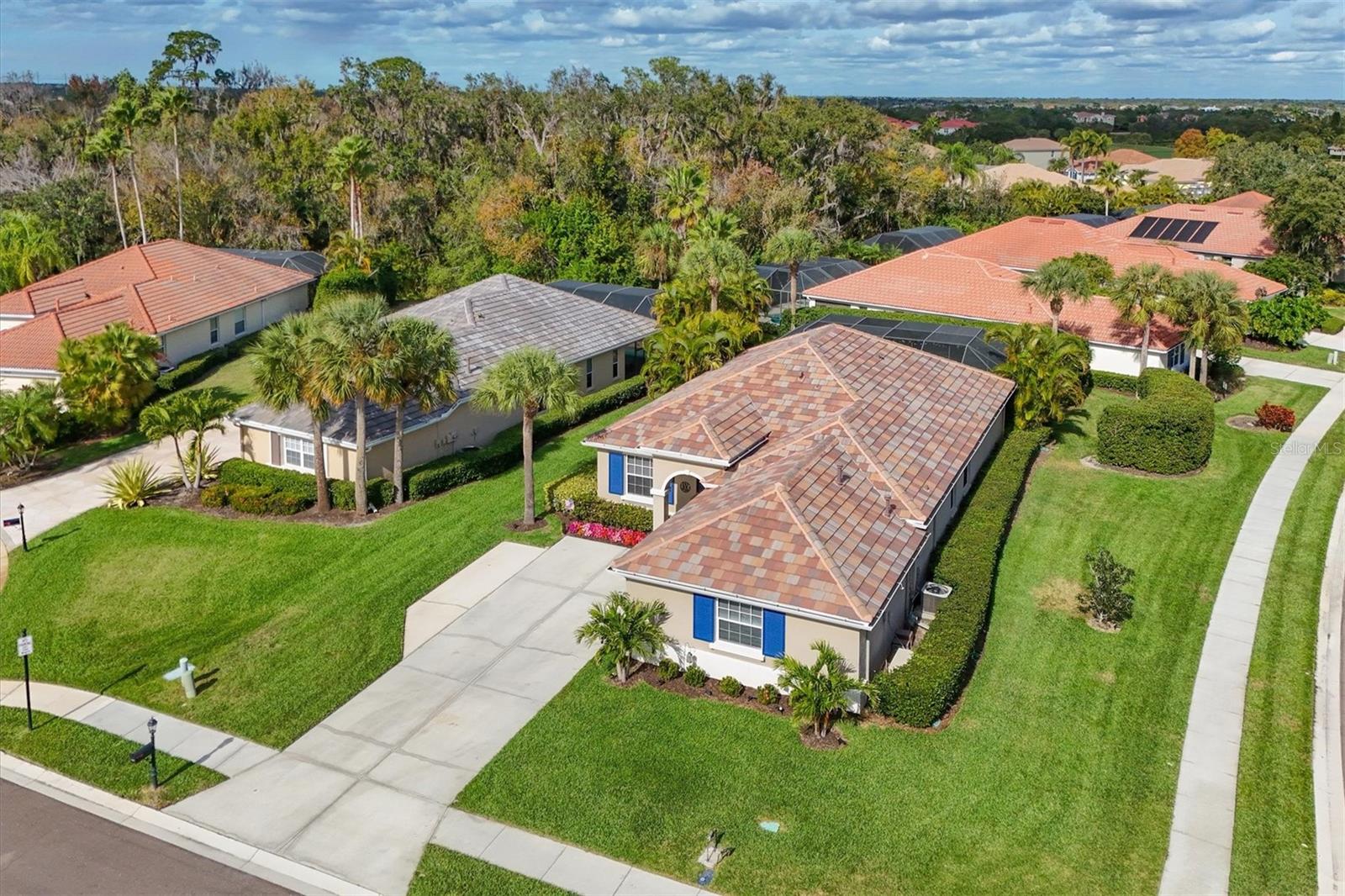 9617 TURNING LEAF TER