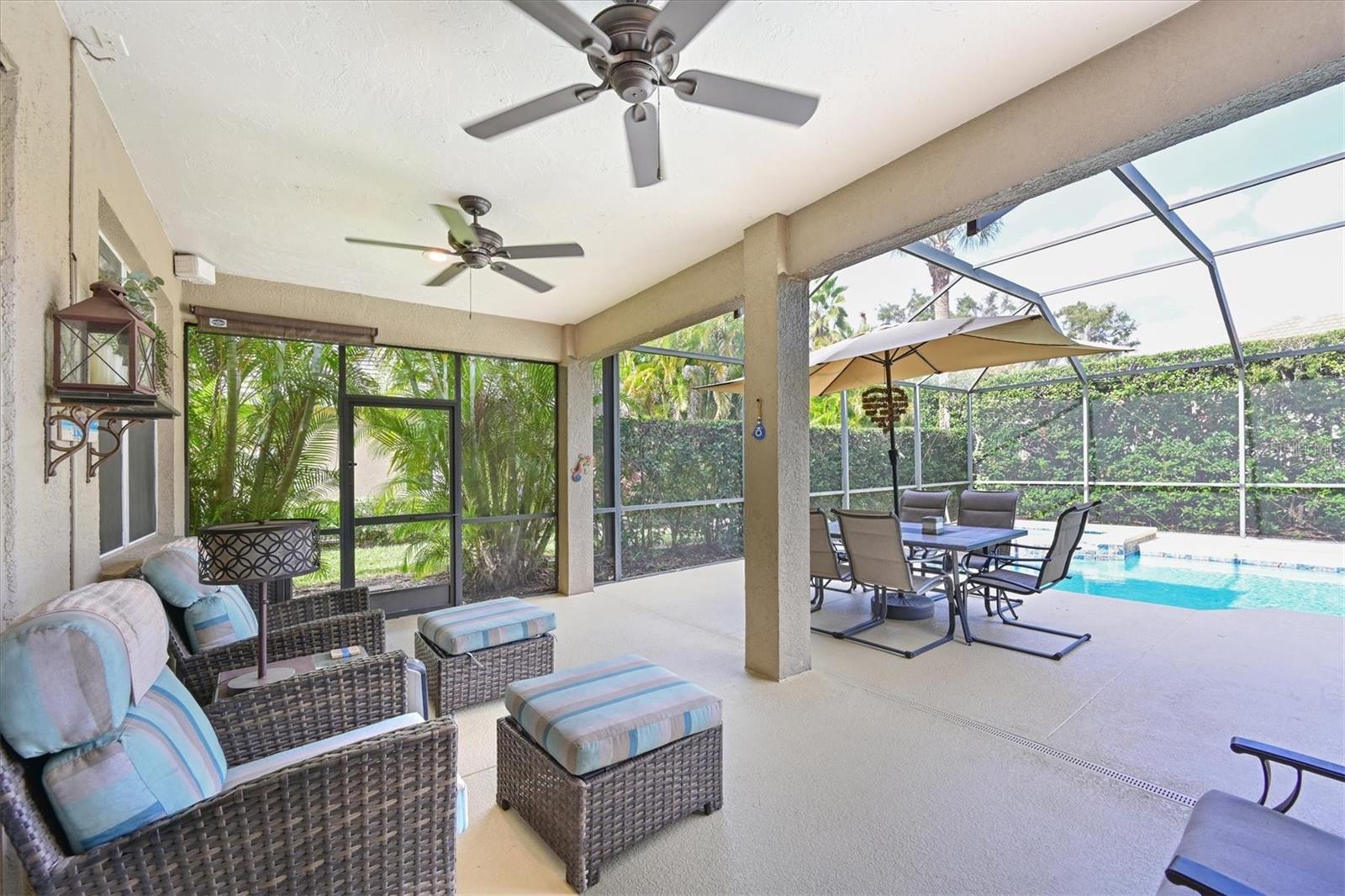 9617 TURNING LEAF TER