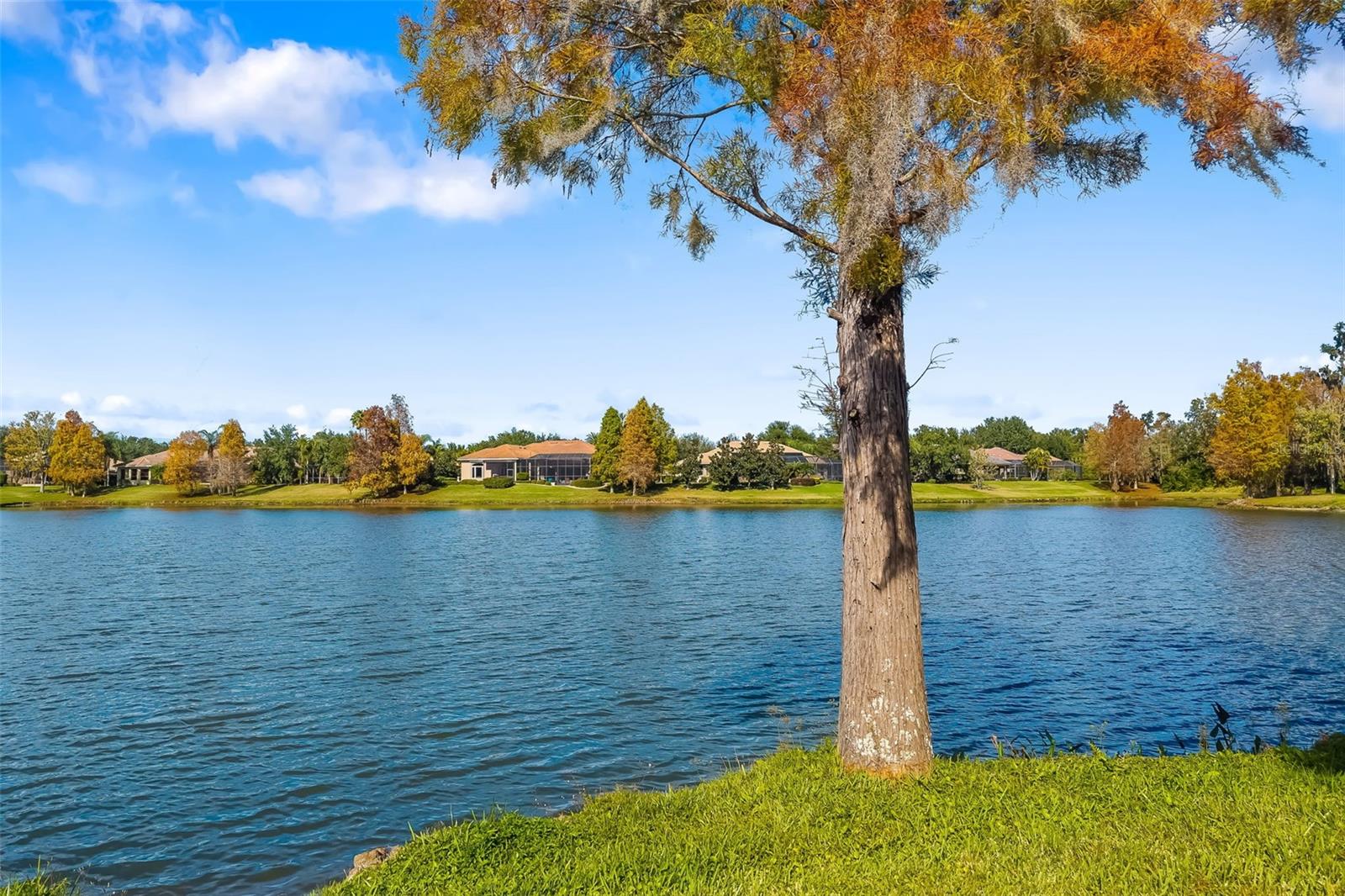 11528 SAVANNAH LAKES DR