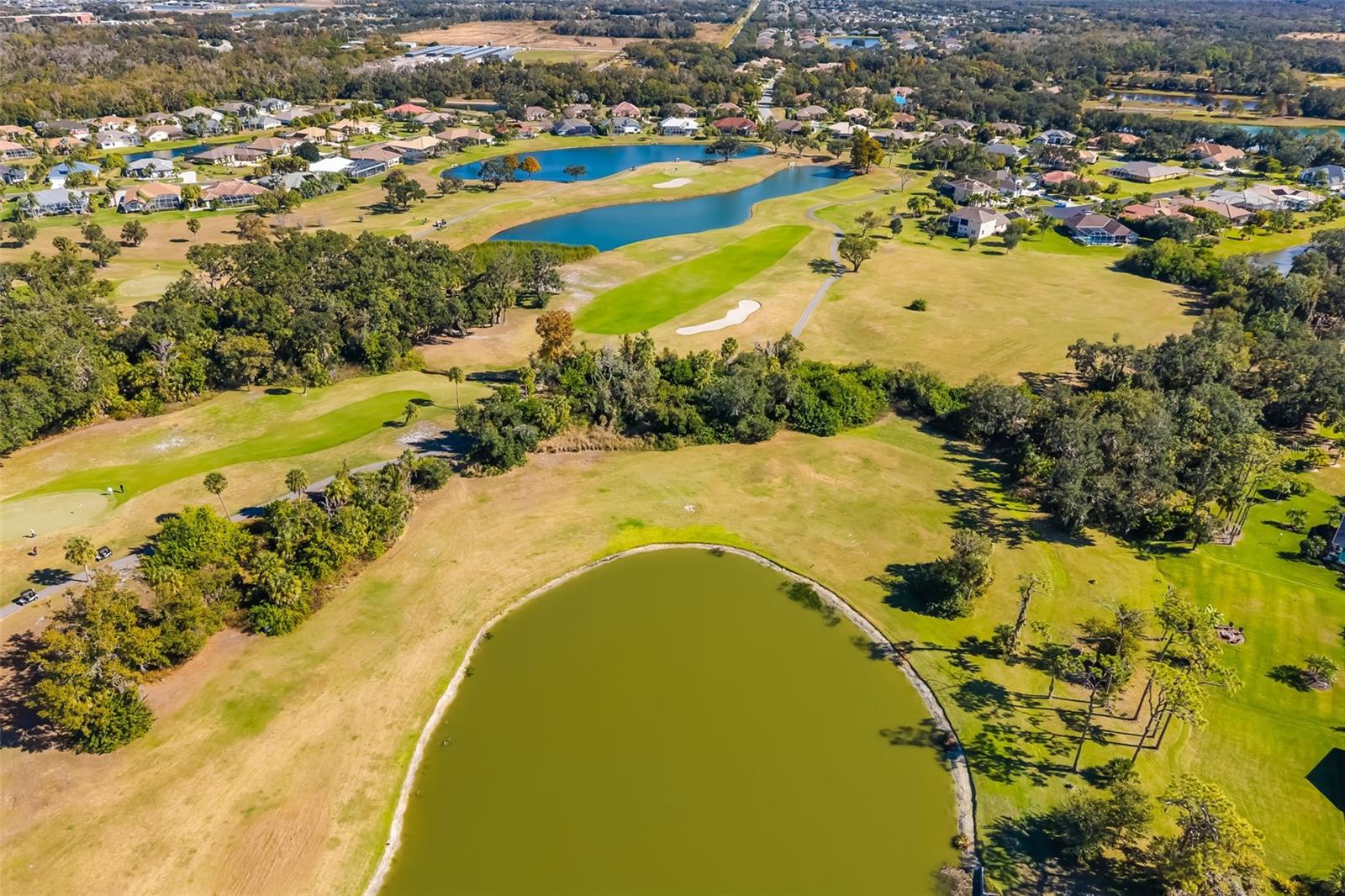 11528 SAVANNAH LAKES DR