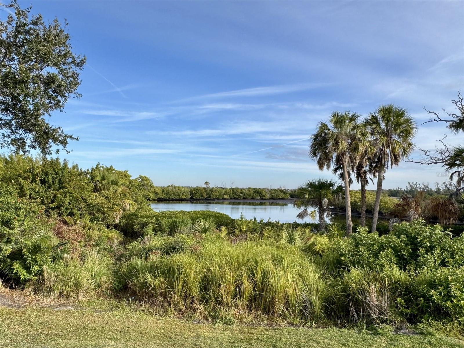 9411 DISCOVERY TER #102B