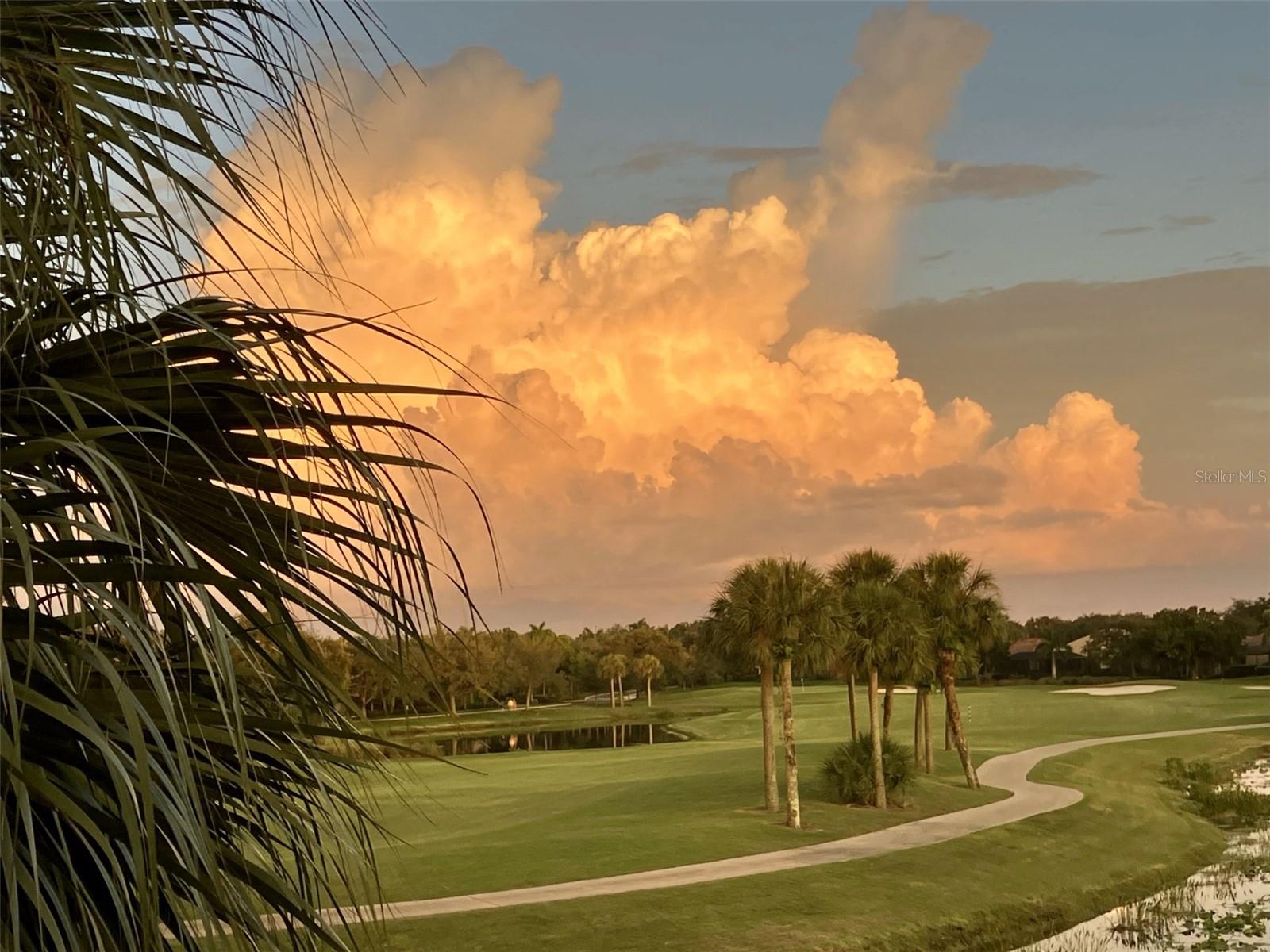 9712 SEA TURTLE TER #201