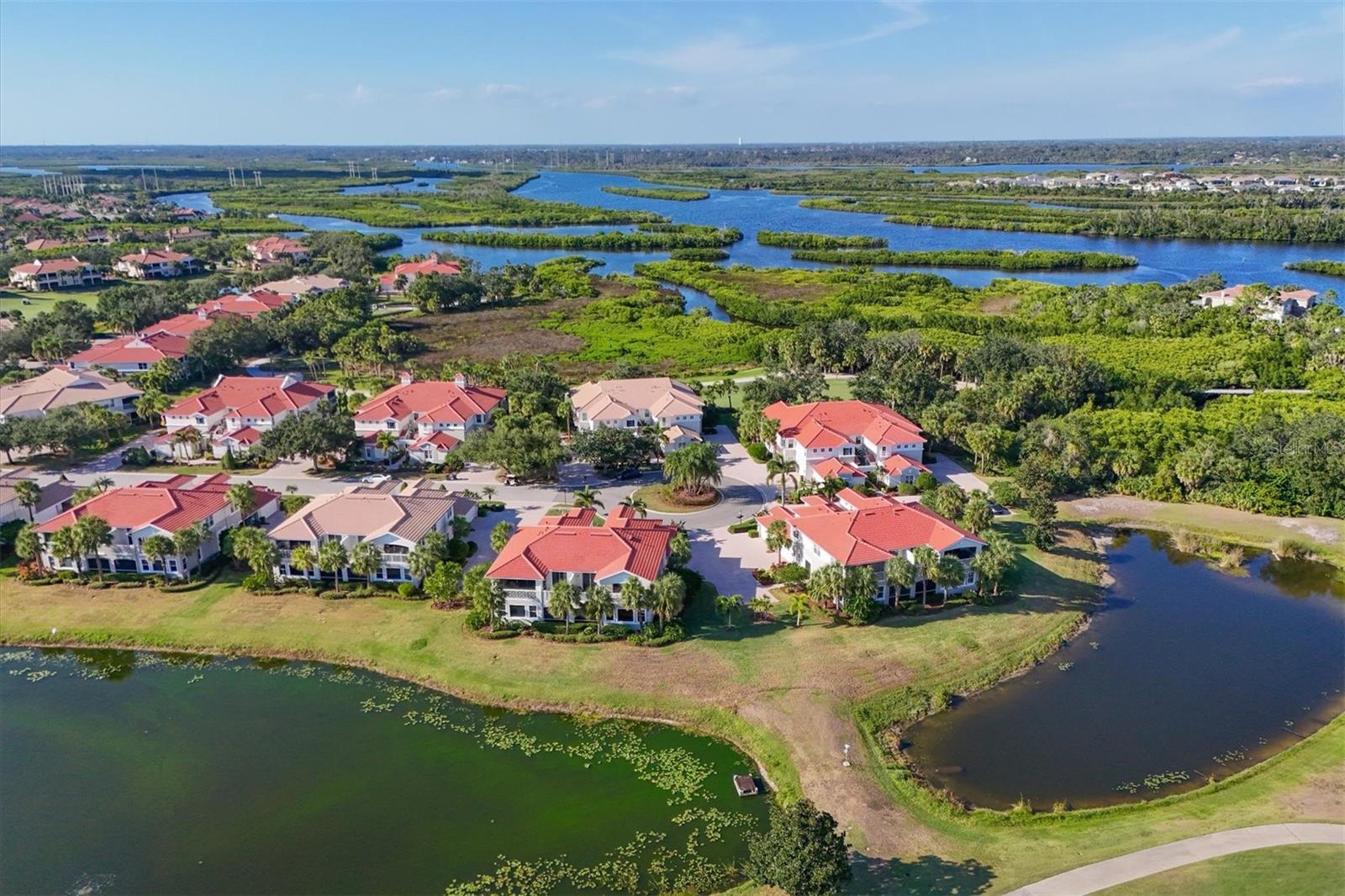 9712 SEA TURTLE TER #201