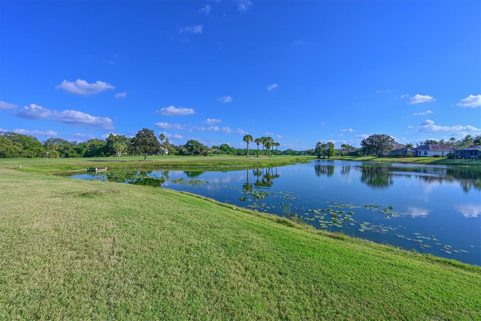 9712 SEA TURTLE TER #201