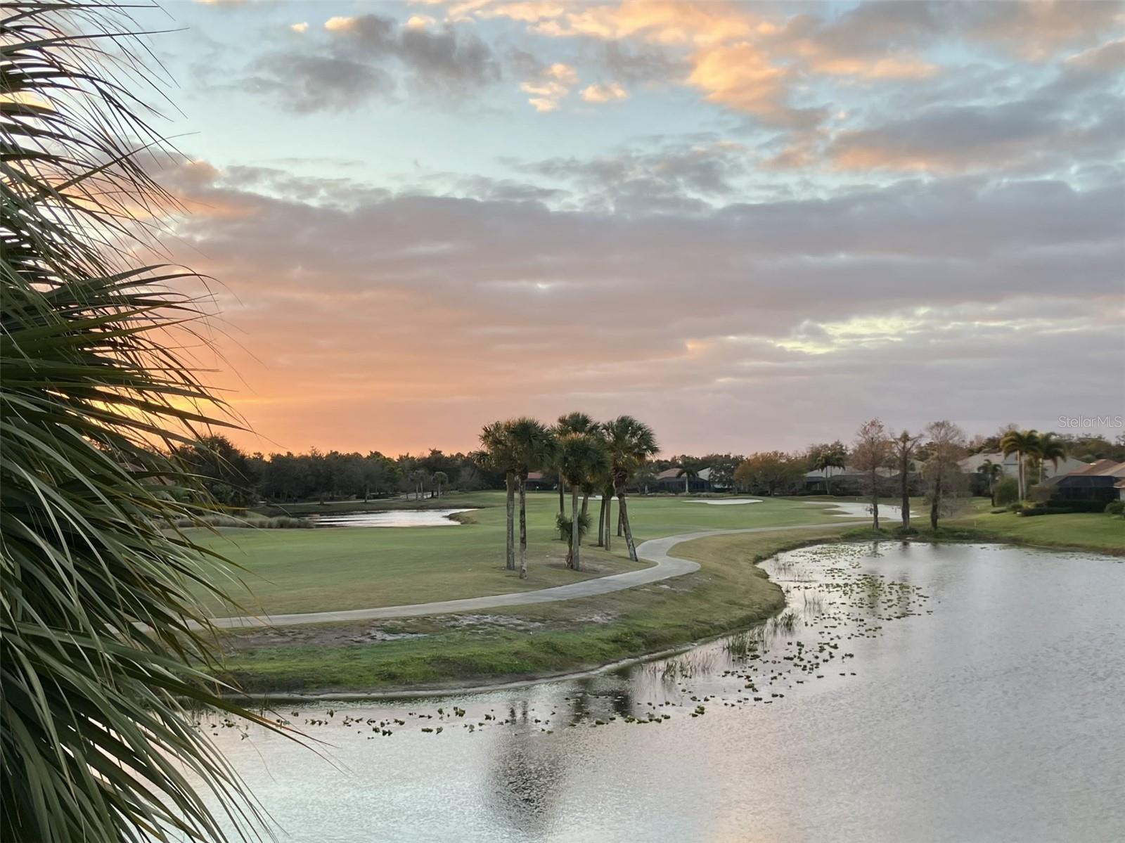 9712 SEA TURTLE TER #201