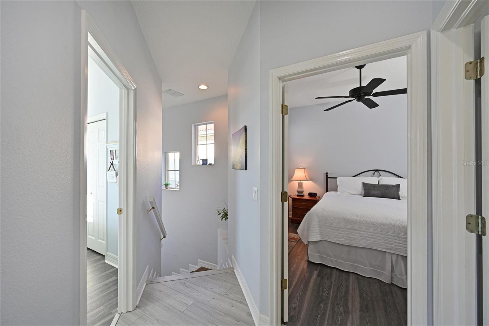 9712 SEA TURTLE TER #201