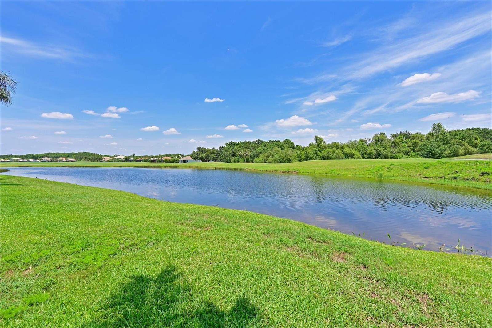 1011 FAIRWAYCOVE LN #202