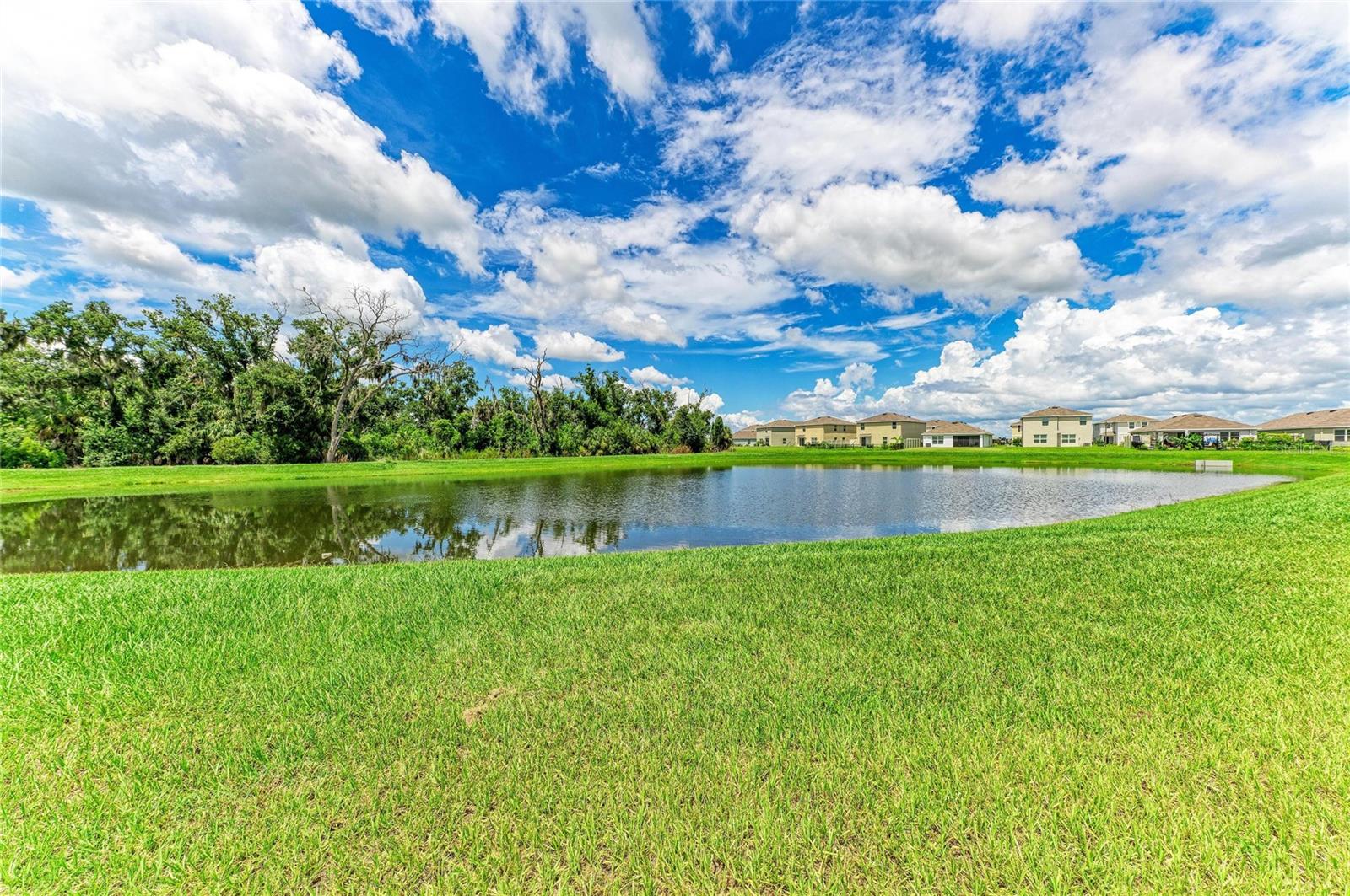 12256 MOUNTAIN ISLAND TRL