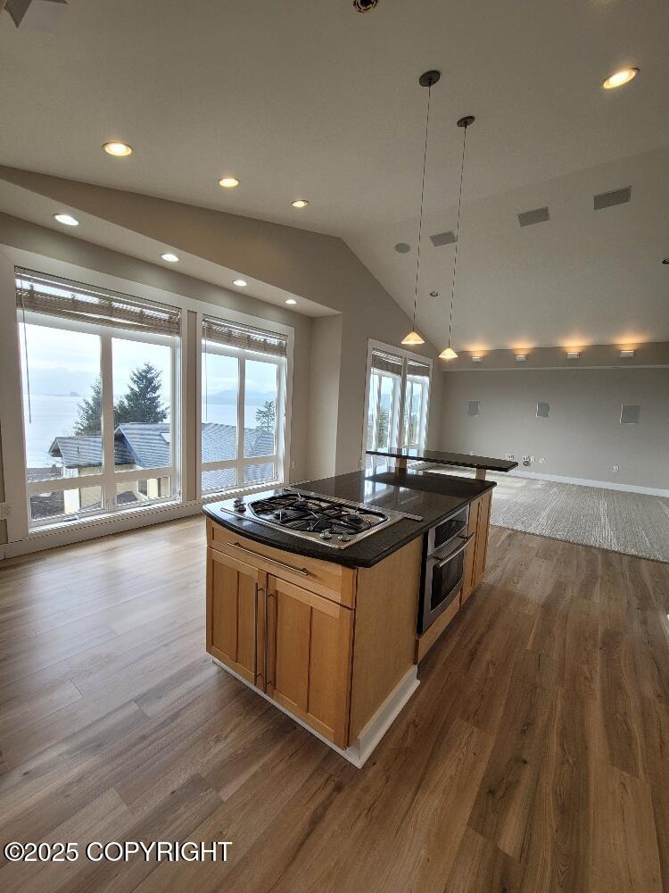 103 Toivo Circle