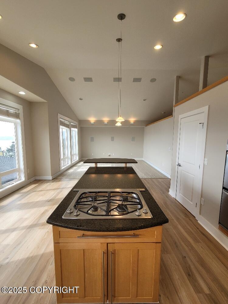 103 Toivo Circle