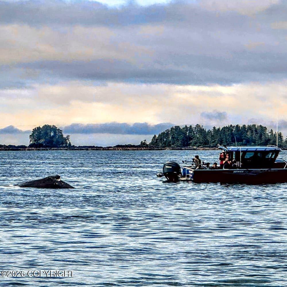 L150 Mertz Island