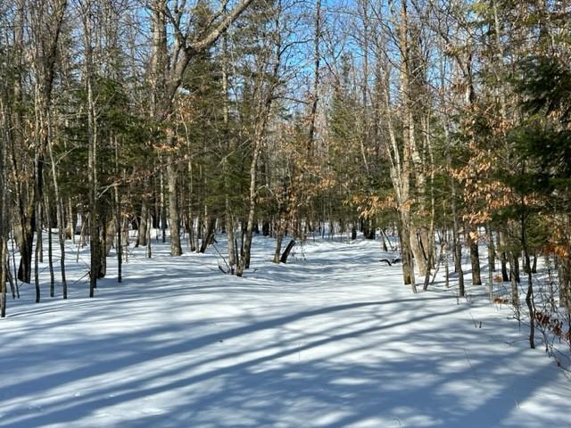 TBD Silver Maple Road NW