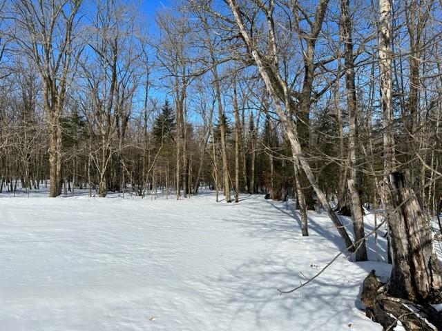 TBD Silver Maple Road NW