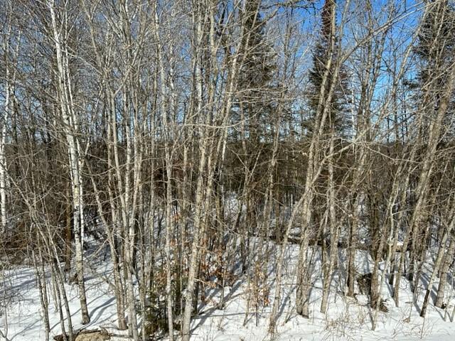 TBD Silver Maple Road NW