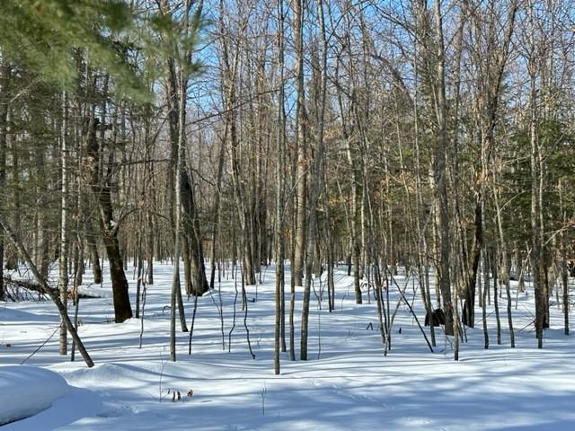 TBD Silver Maple Road NW