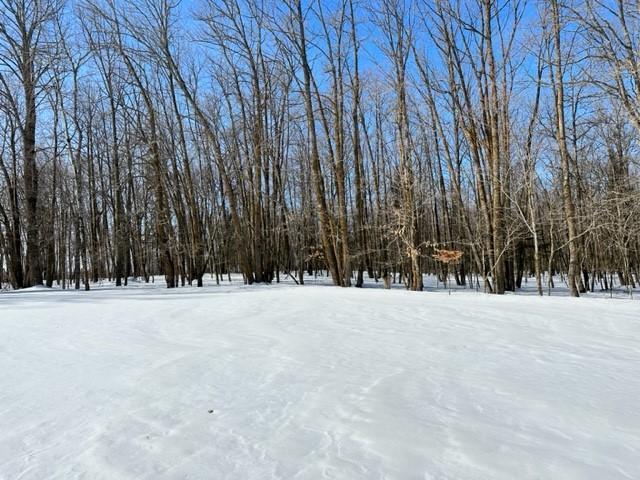 TBD Silver Maple Road NW