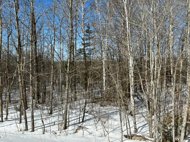 TBD Silver Maple Road NW