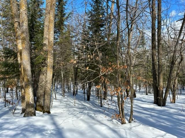 TBD Silver Maple Road NW