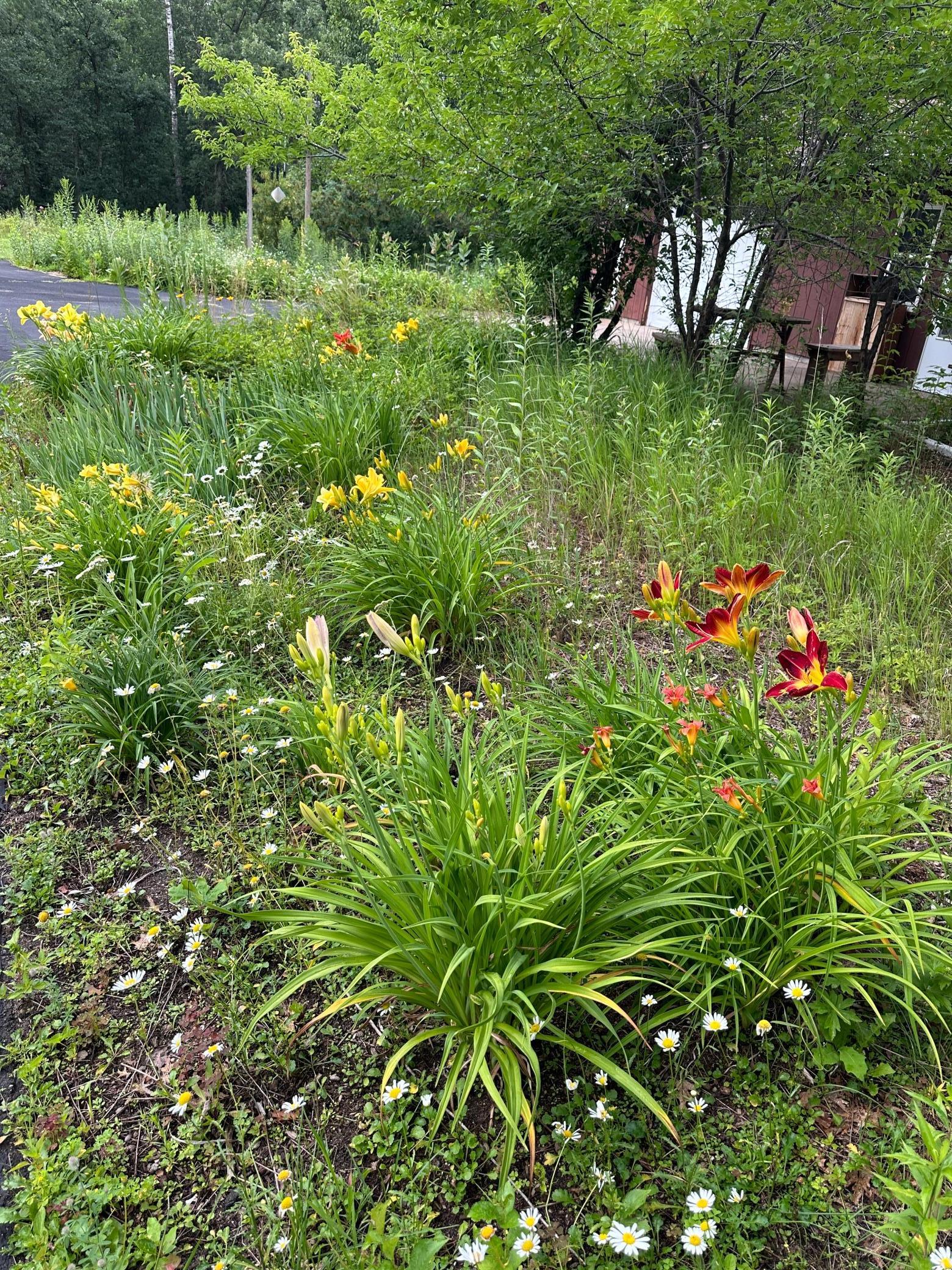 13278 Deer Wood Trail