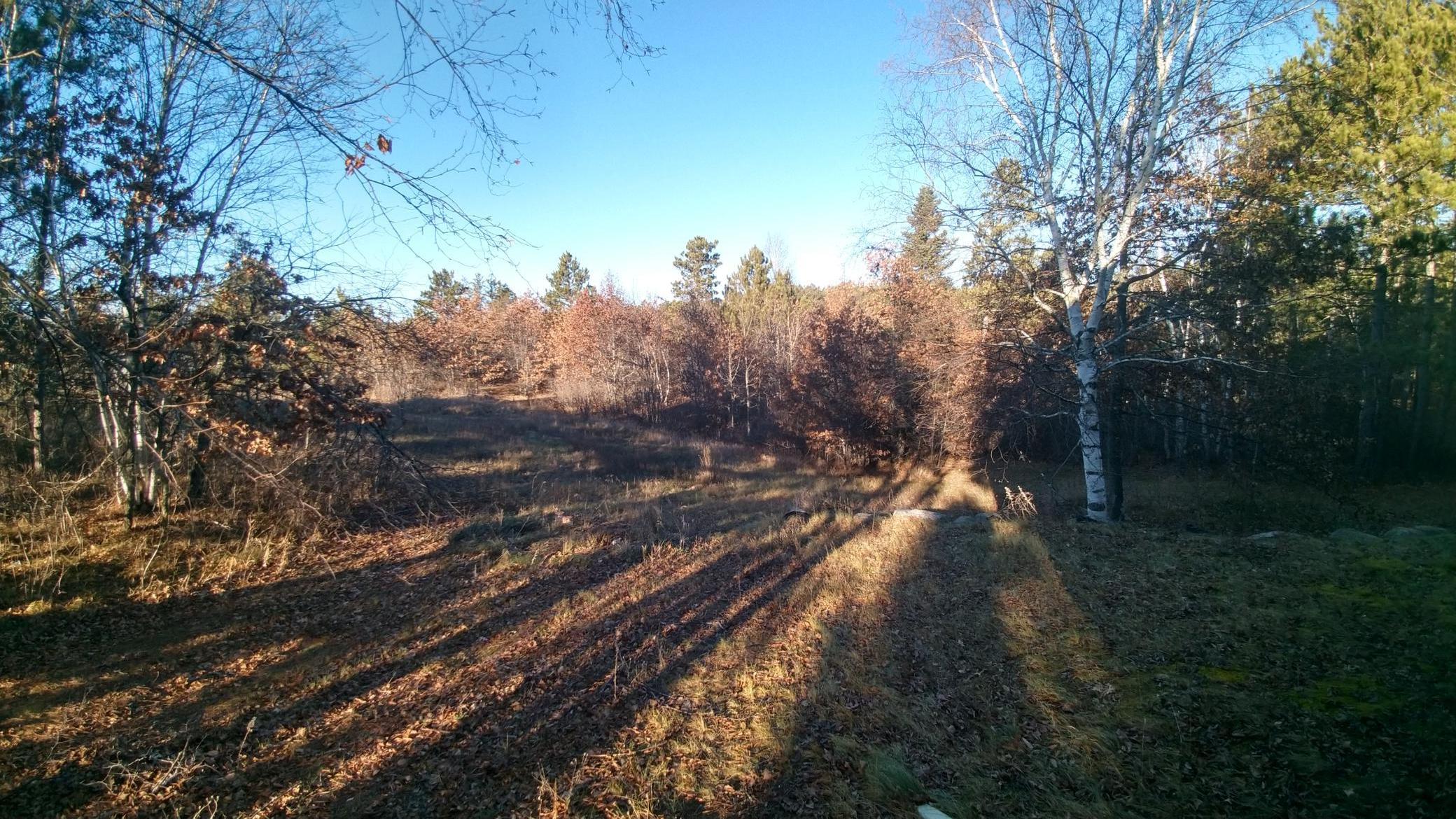 50164 County 29