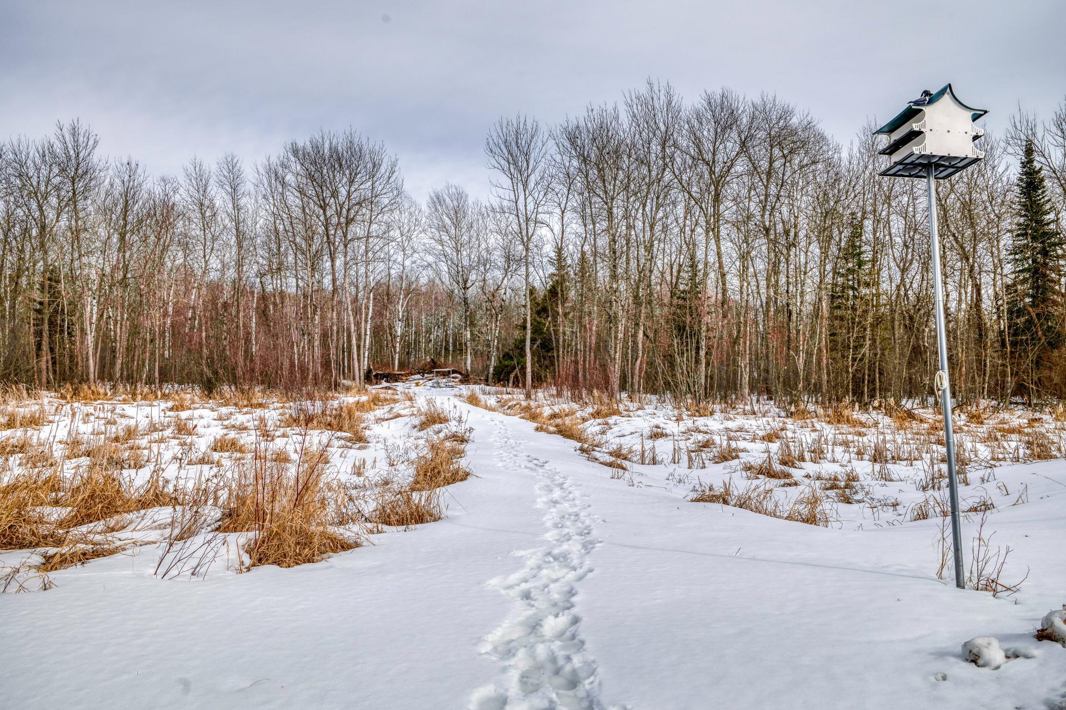 25780 Liliput Lane NE