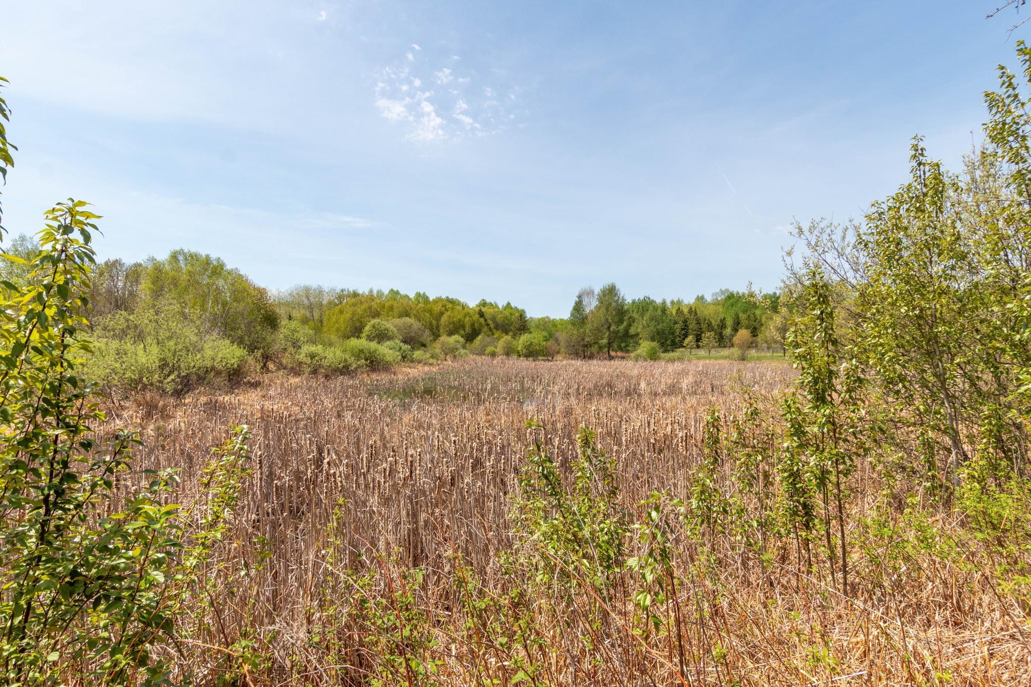 55671 County Road 126