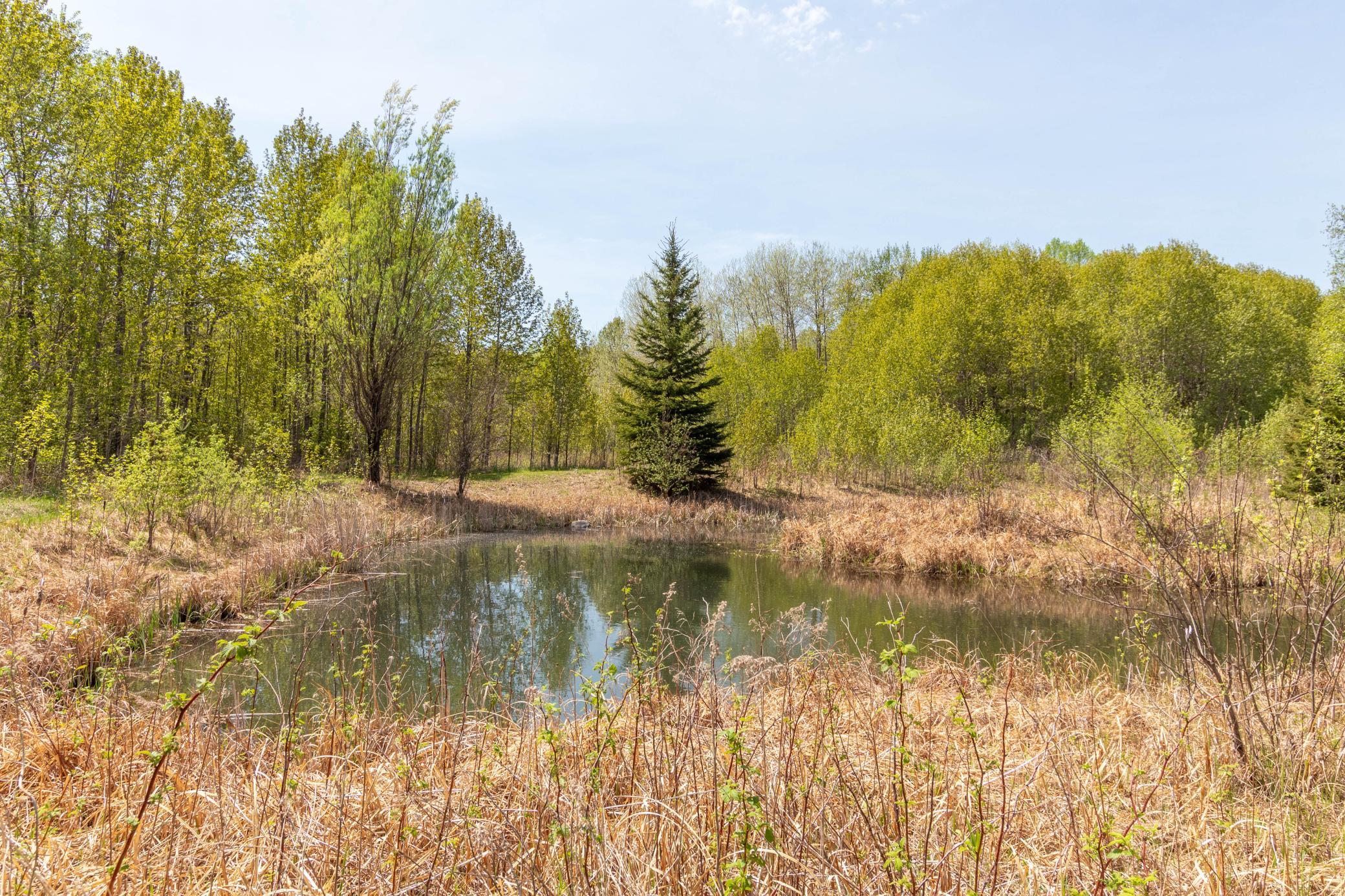 55671 County Road 126