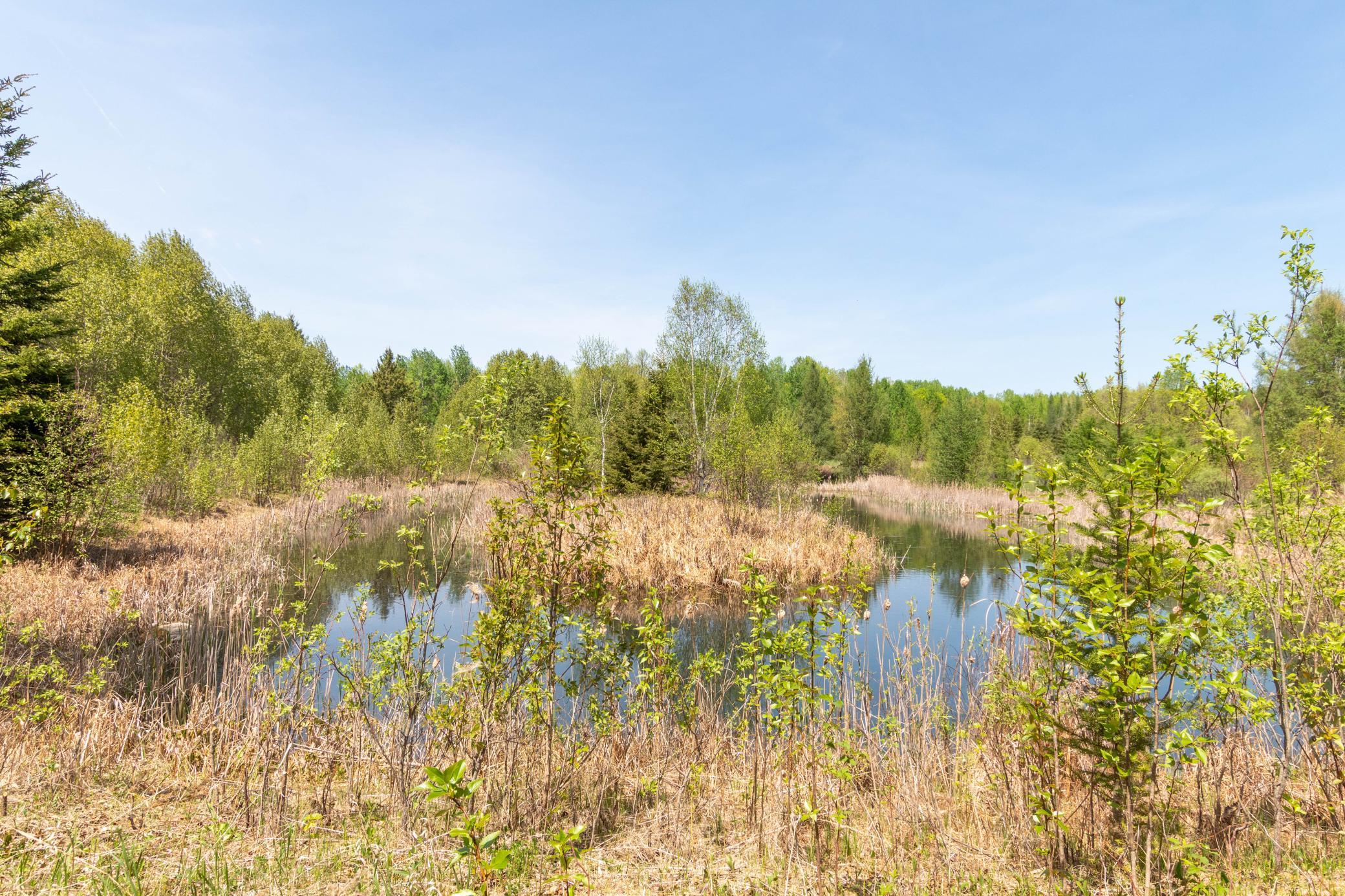 55671 County Road 126