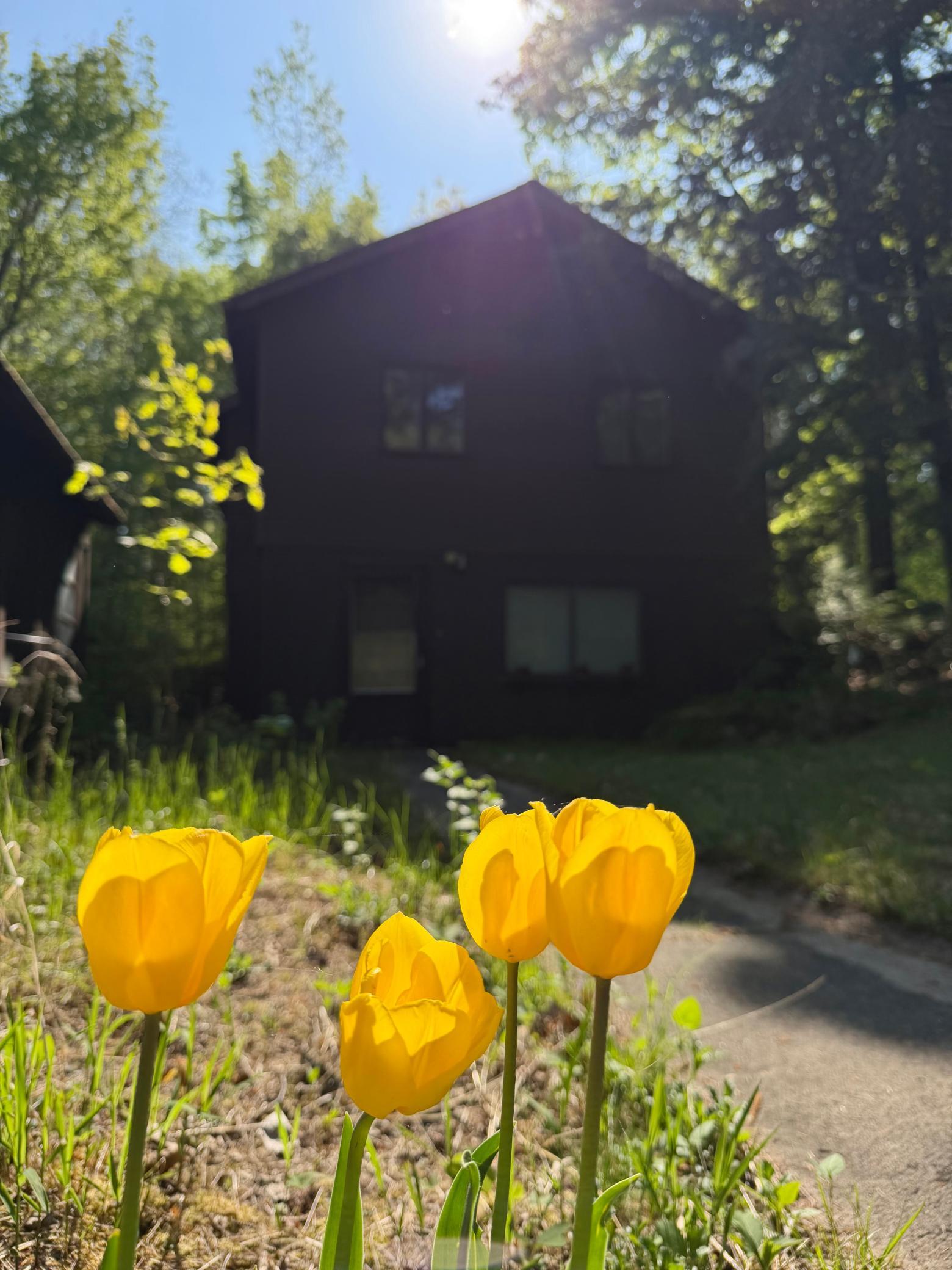 30257 County 37