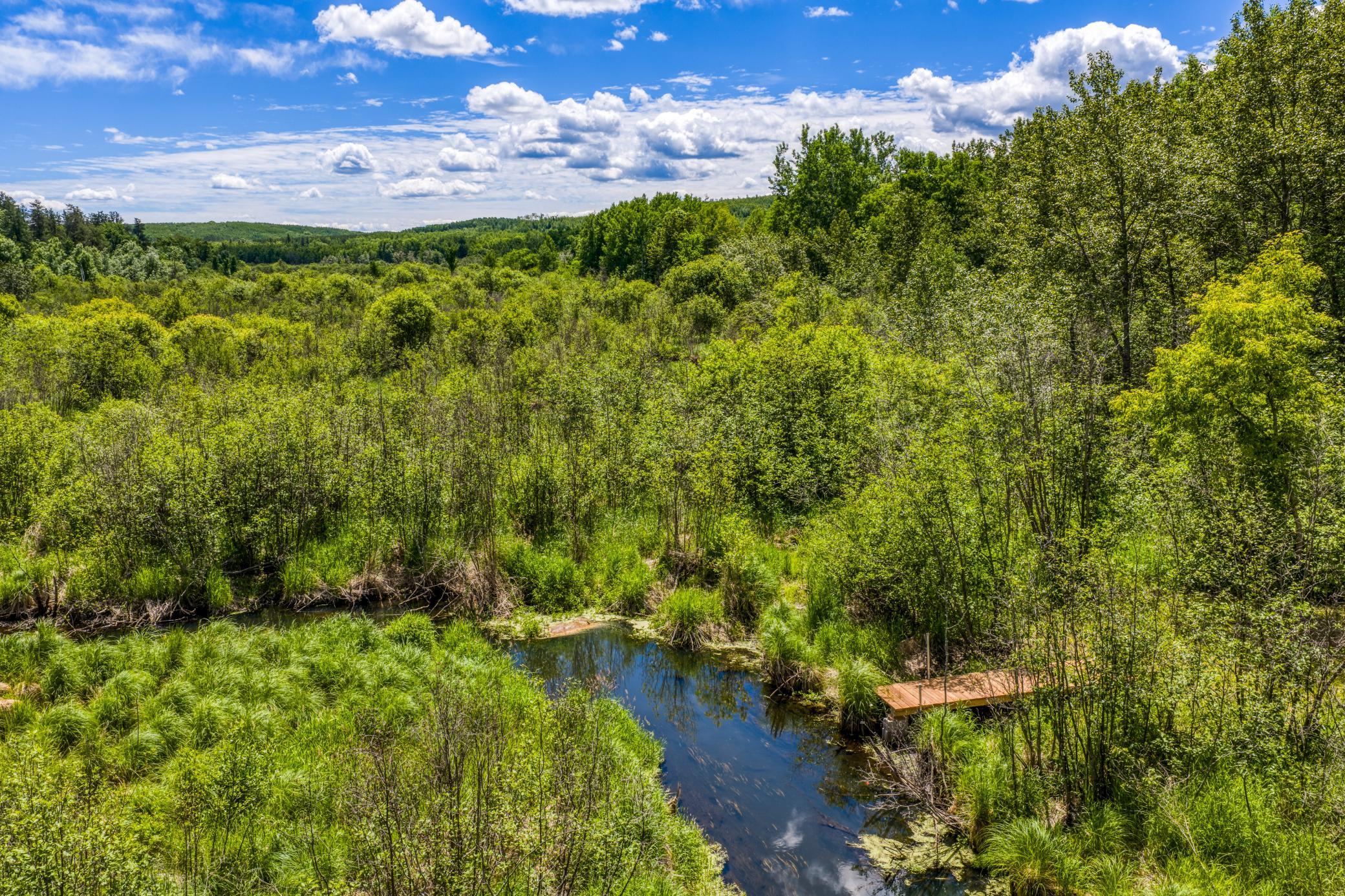 39332 Orchid Trail