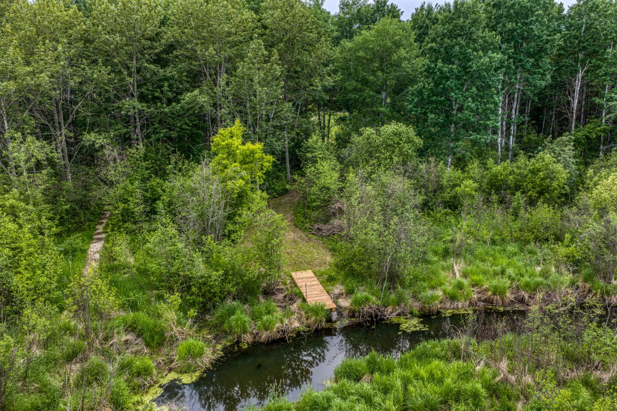 39332 Orchid Trail