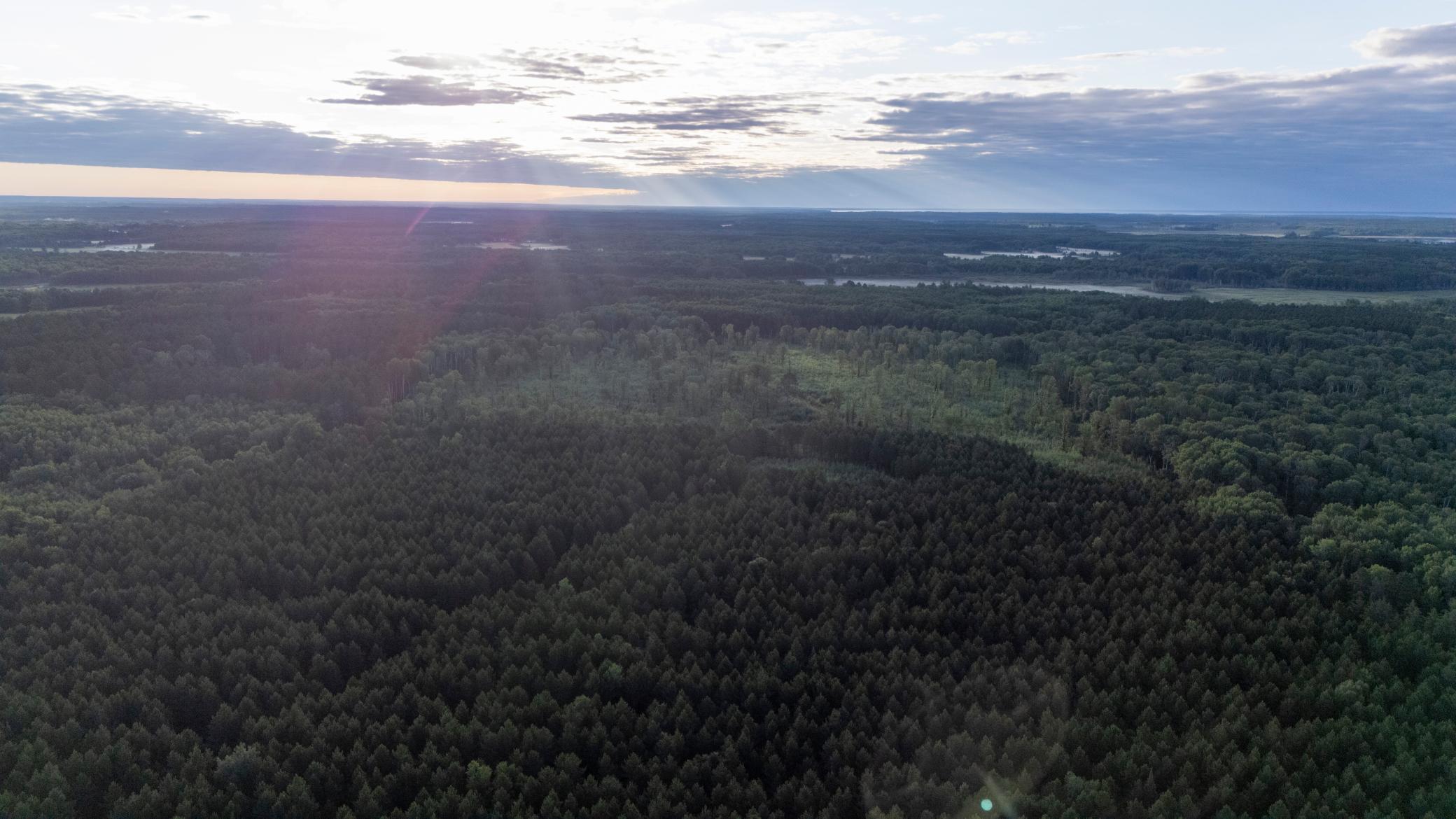 NESW Forest Road 3845 NE