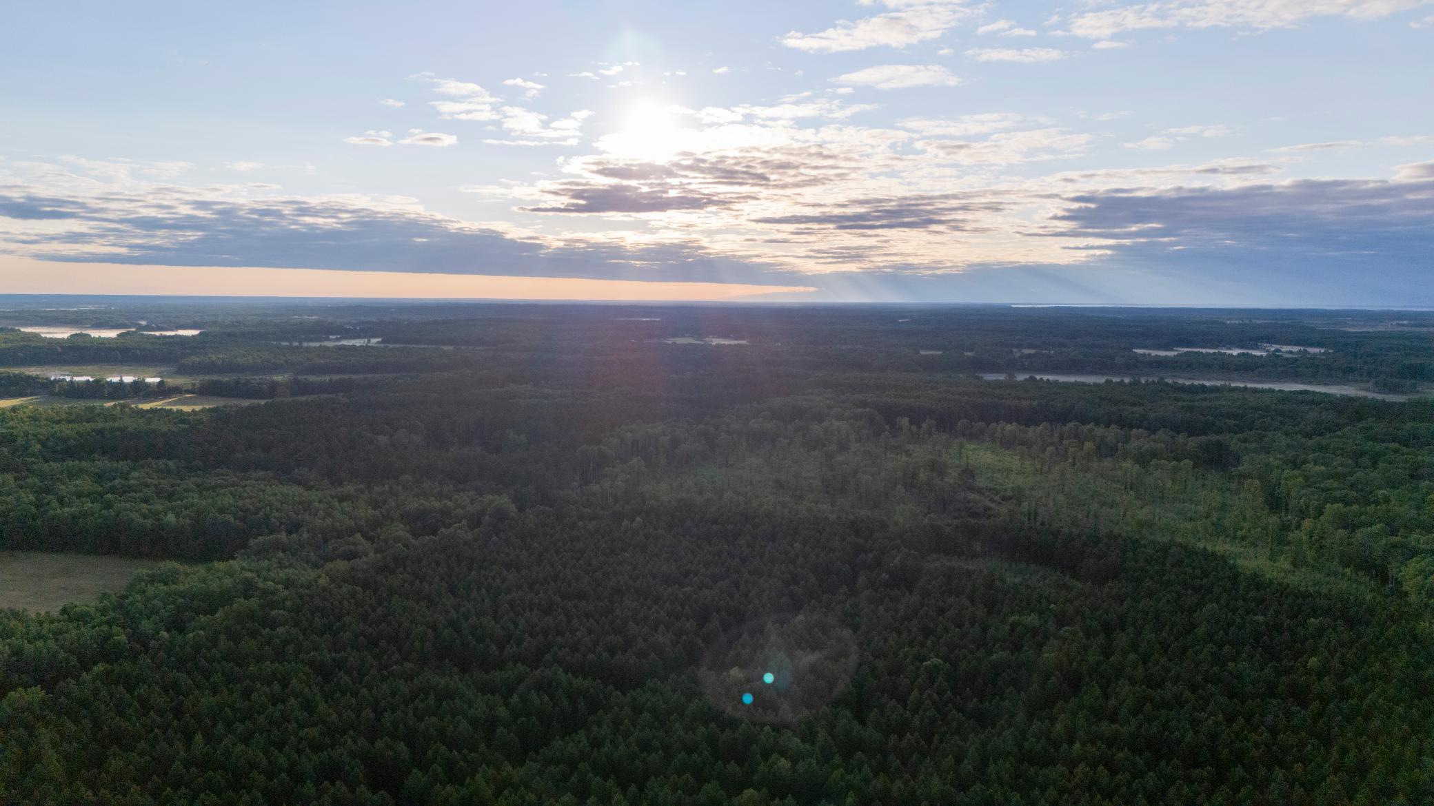 NESW Forest Road 3845 NE