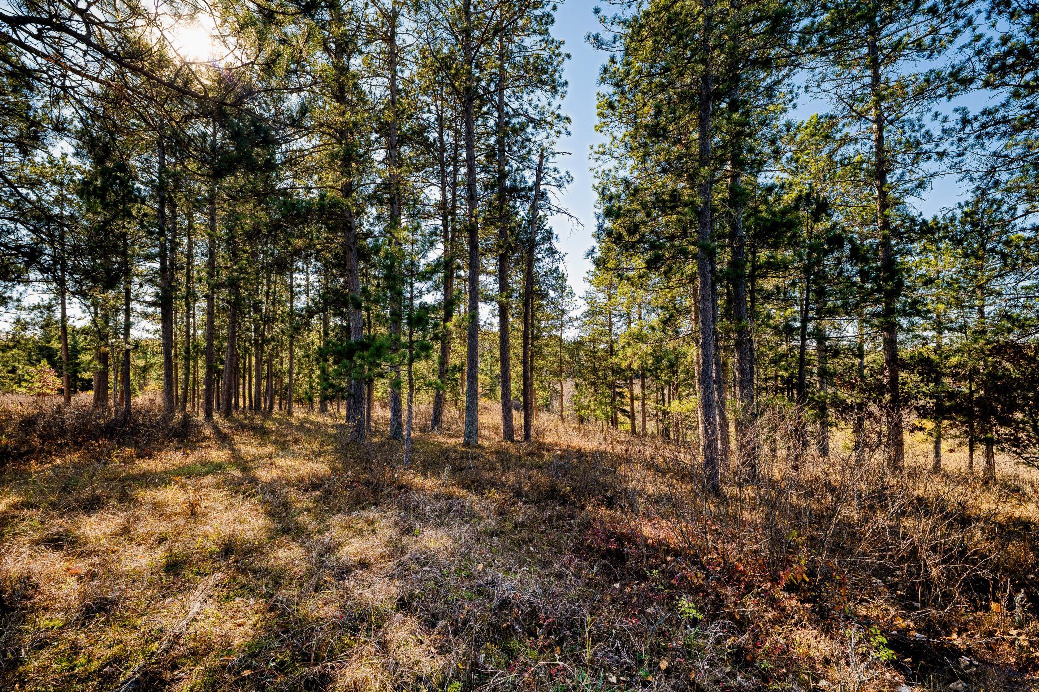 39346 County 4
