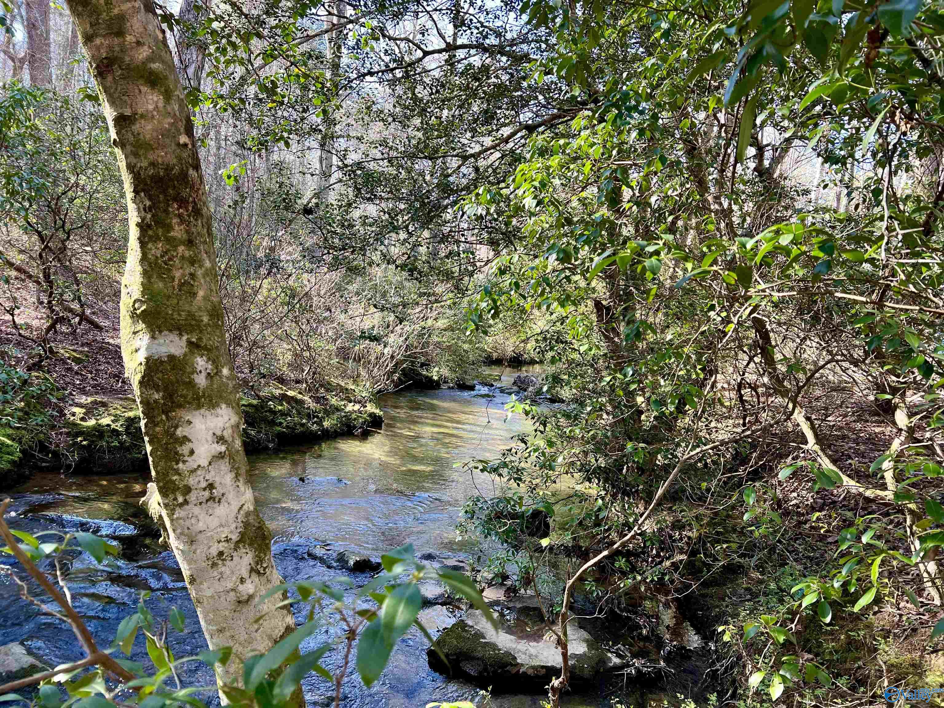 307 Bear Creek Road SE