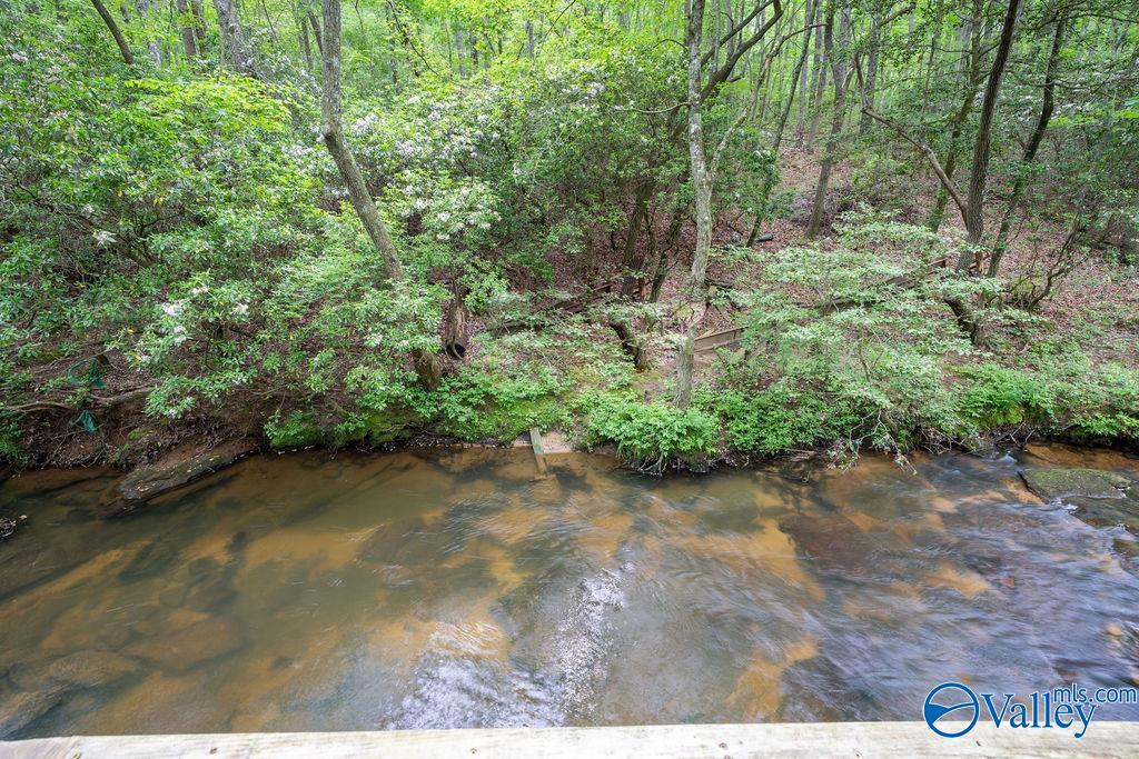 307 Bear Creek Road SE
