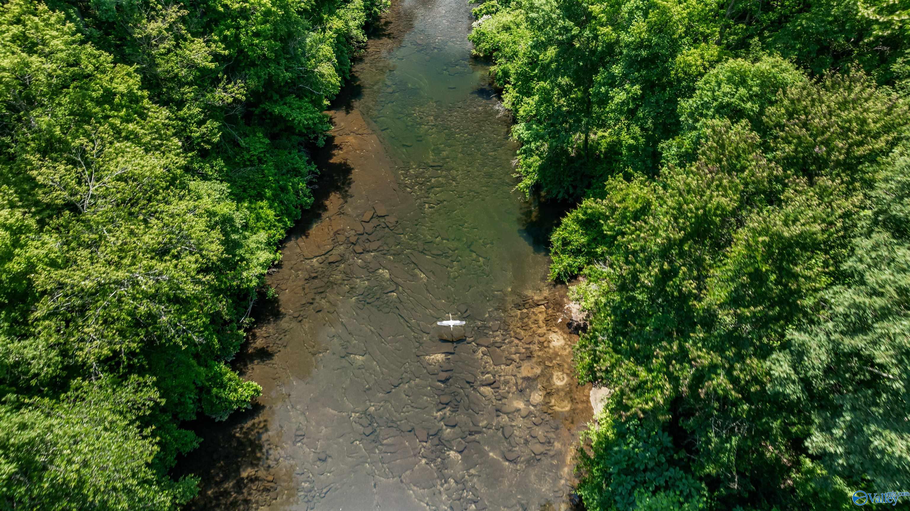 Aerial view of a rocky river bordered by dense green trees, with a small white boat.