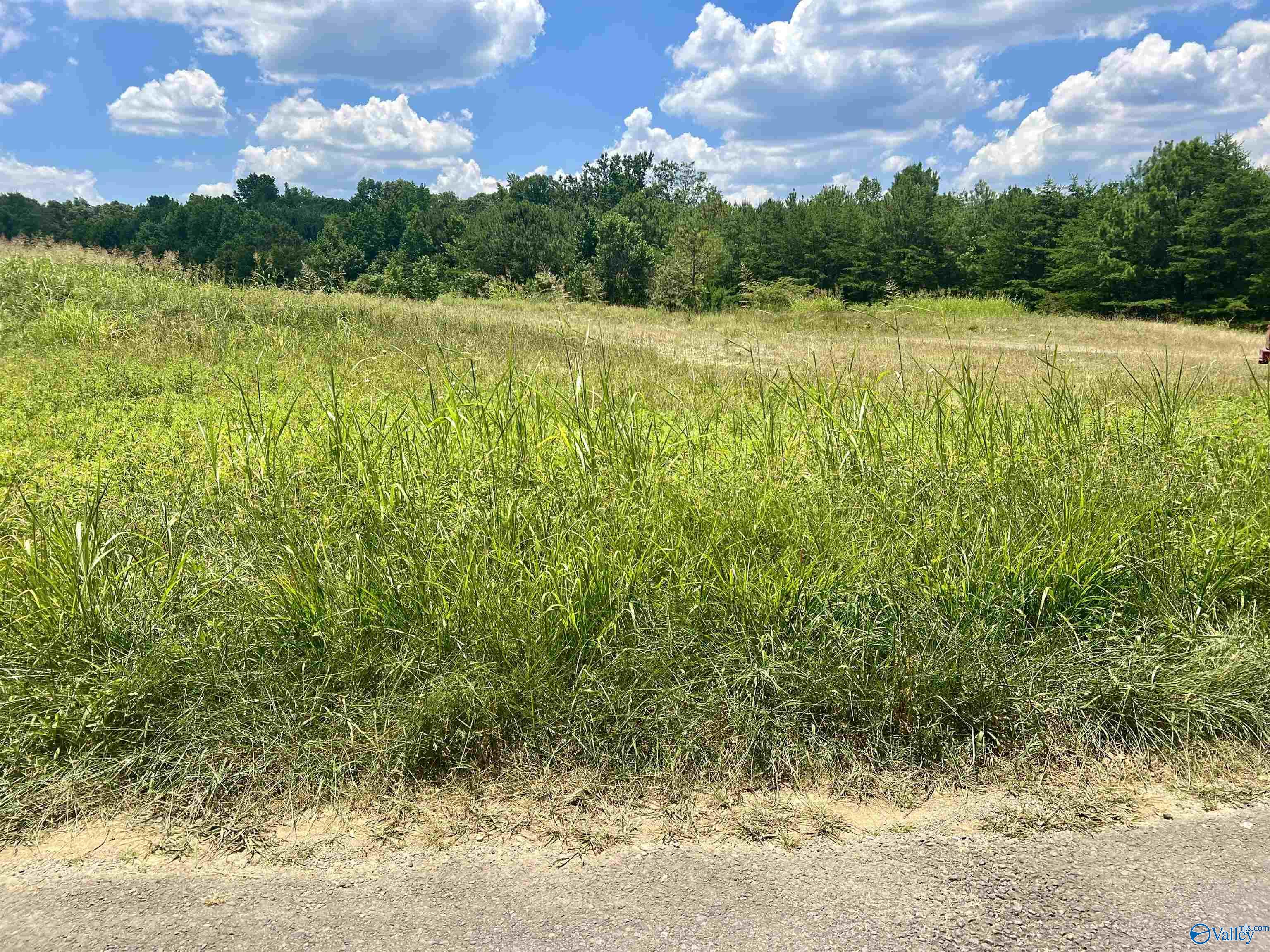 3Ac Gray Road