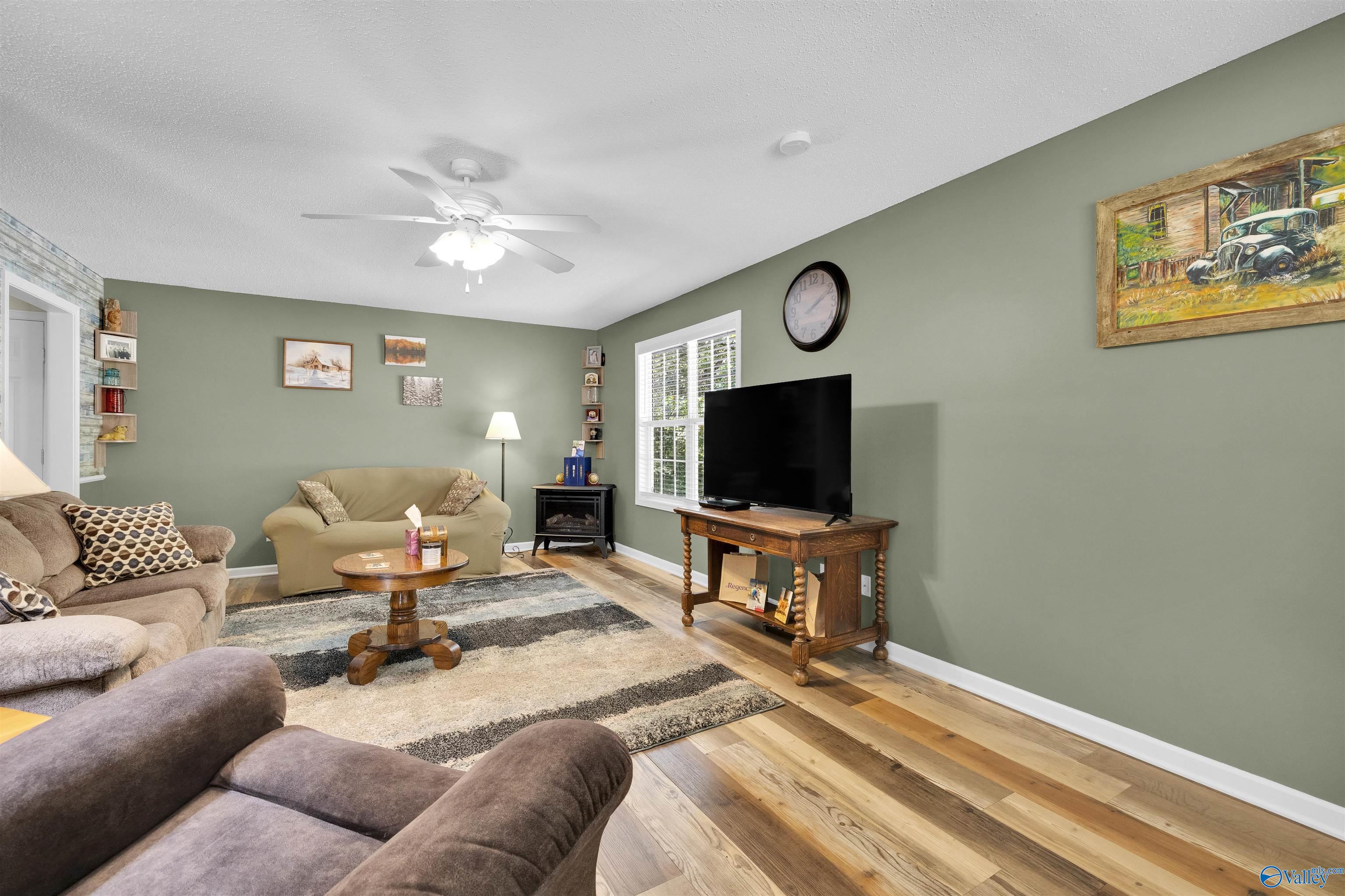 Living room with sage-green walls, wood flooring, a television console, and a large striped rug.