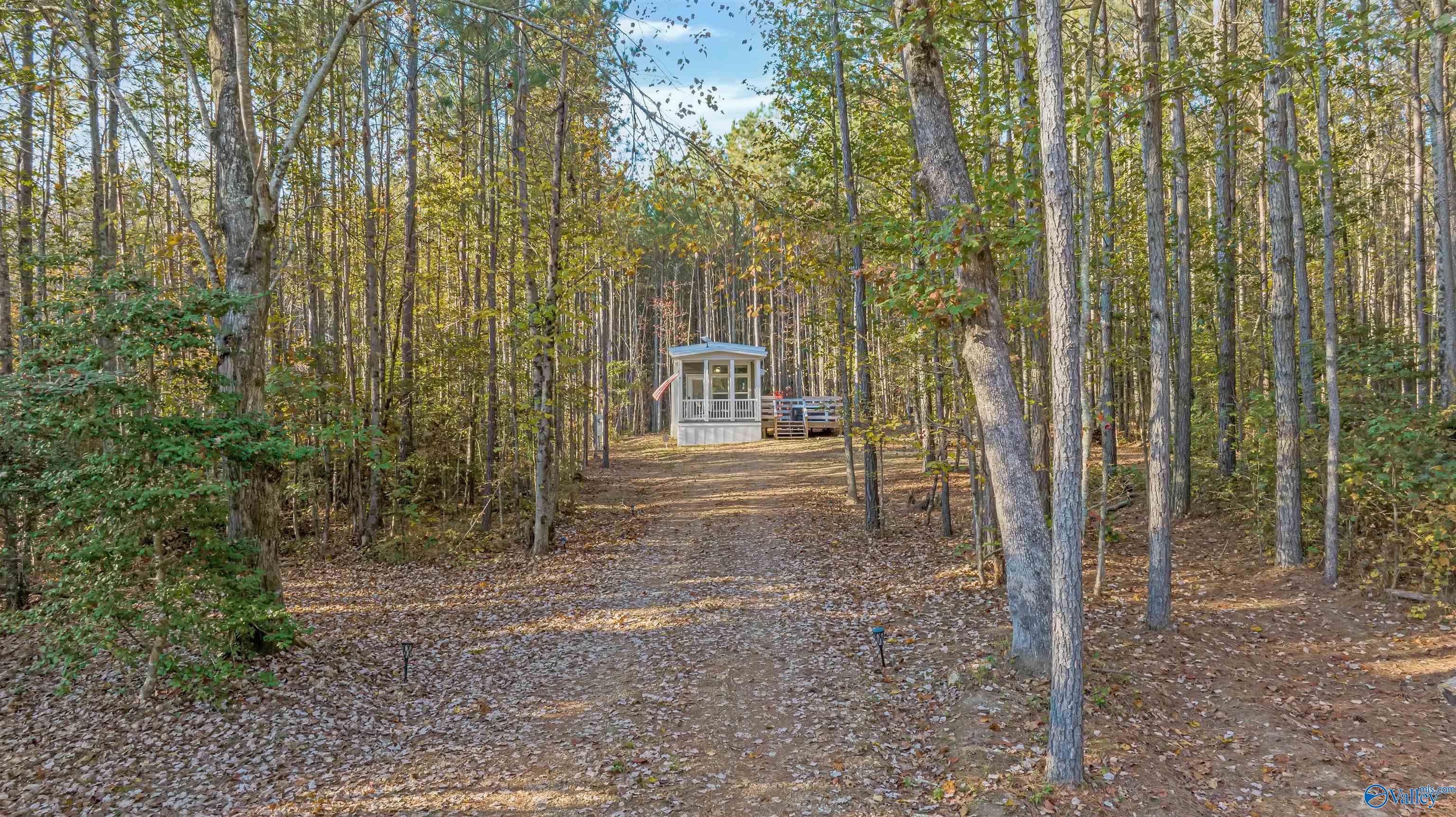 Small cabin and raised deck at the end of a leaf-covered drive in a wooded lot.