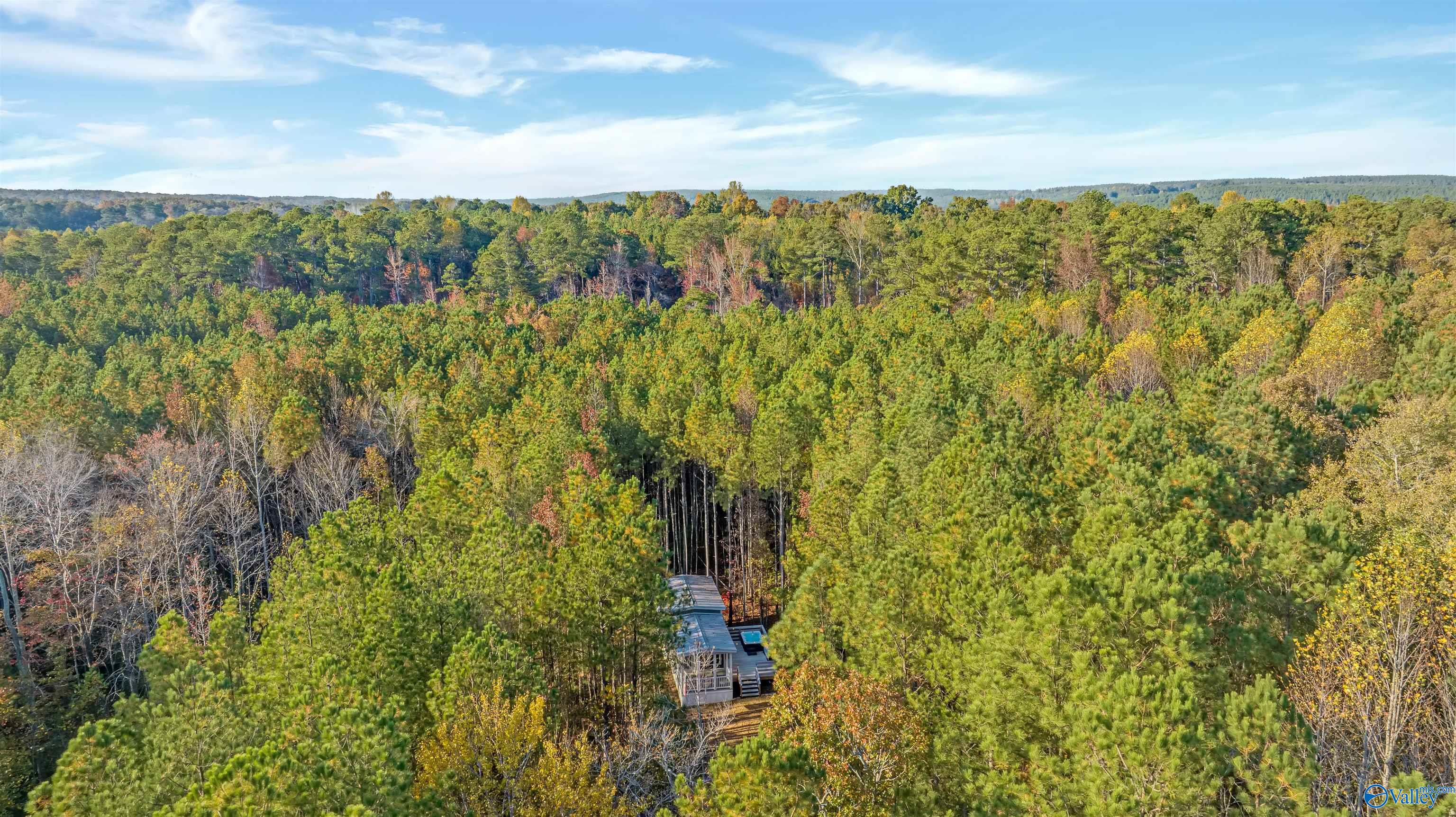 Aerial view of wooded land with a small roofed structure and deck among autumn trees.