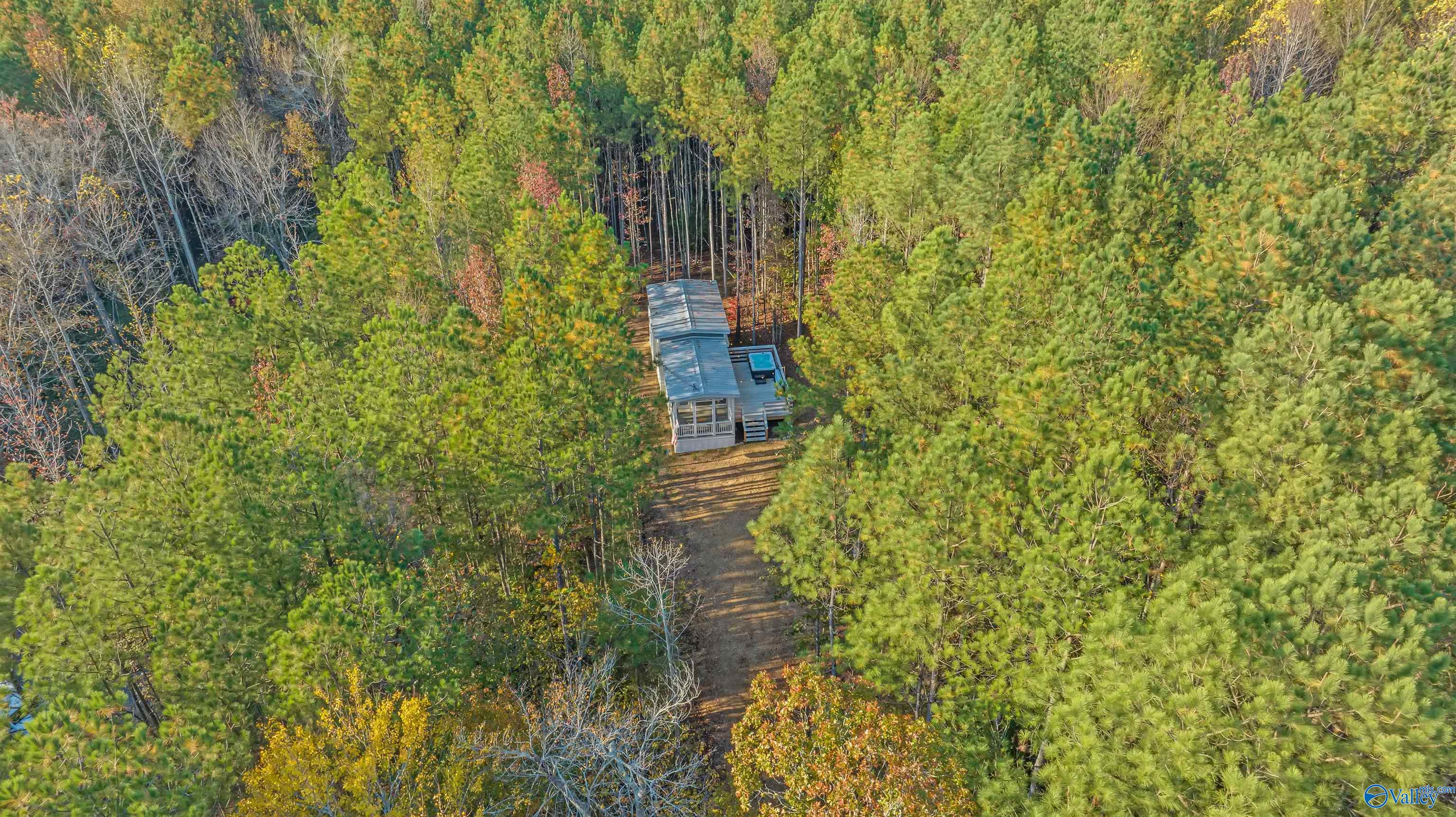 Aerial view of a cabin and hot tub surrounded by dense pine trees, with a dirt driveway.